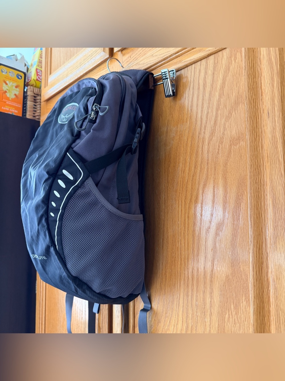 Osprey Daylite unisex Black and Gray Backpack - Picture 5 of 11
